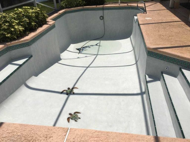 Procite, Inc. Pool Surfacing and Repair, Satellite Beach, Brevard County